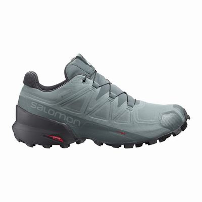 Férfi Salomon SPEEDCROSS 5 GORE-TEX Terepfutó Cipő SA6807395 Zöld